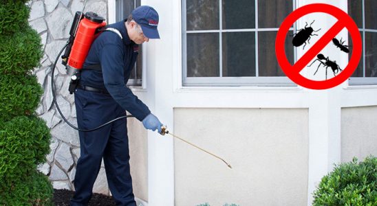 Mengen Böcek ve Haşere İlaçlama böcek ilaçlama ve haşere kontrolü — ilaclama-tr.com